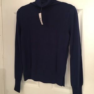 Ann Taylor Turtle Neck | S